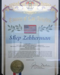 Best Attorney Award